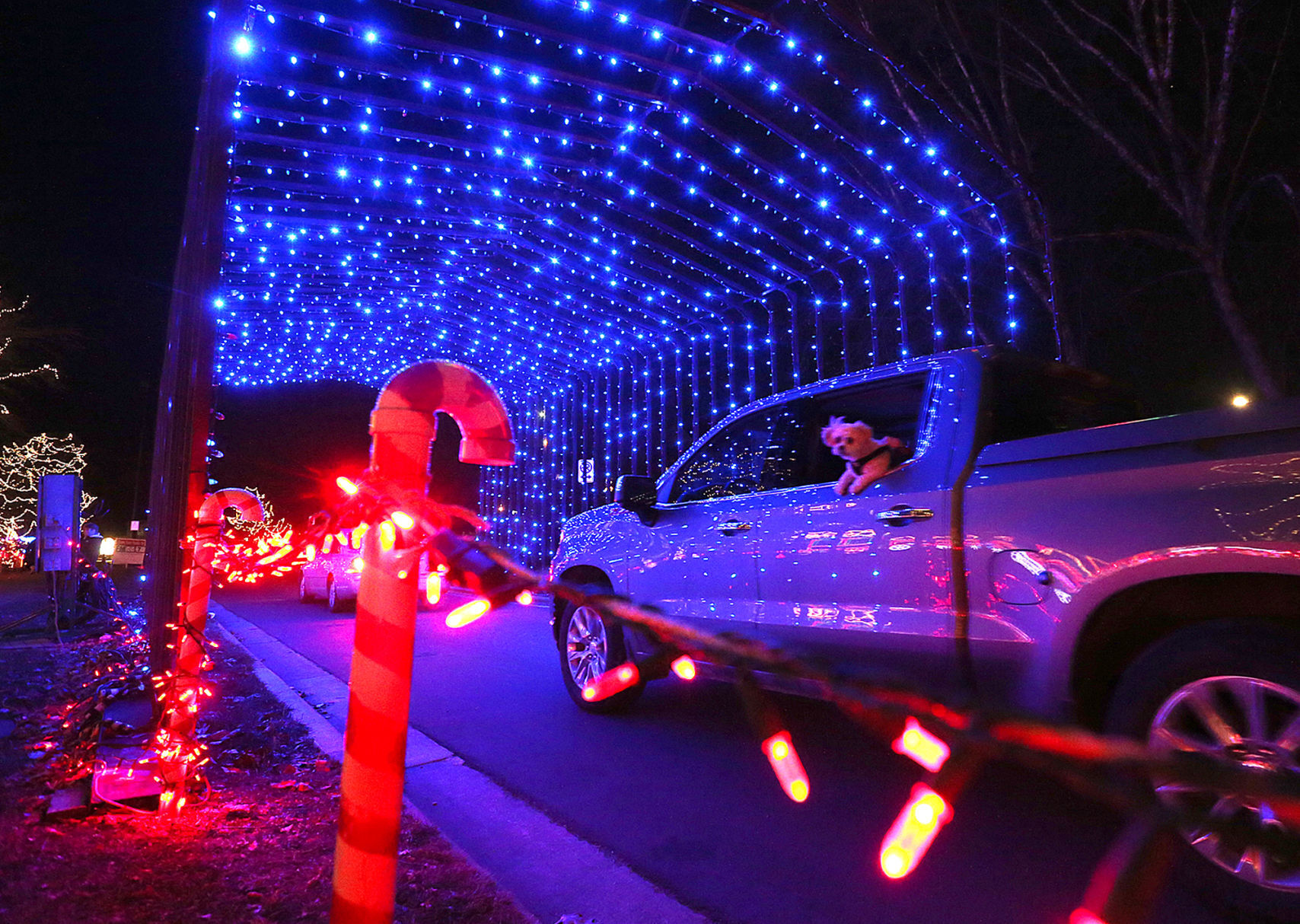Rotary Lights 2020